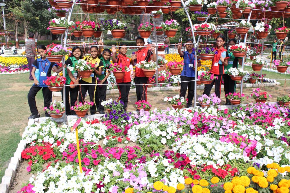Flower Show