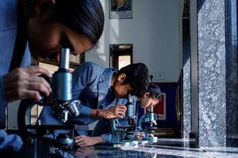 Academics (Cognitive Development)