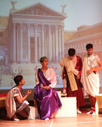 Co-curricular - Literary and Cultural