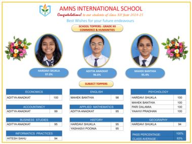 Class XII - Commerce & Humanities CBSE Board Results 2024-25